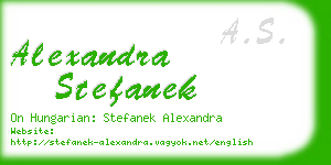 alexandra stefanek business card
